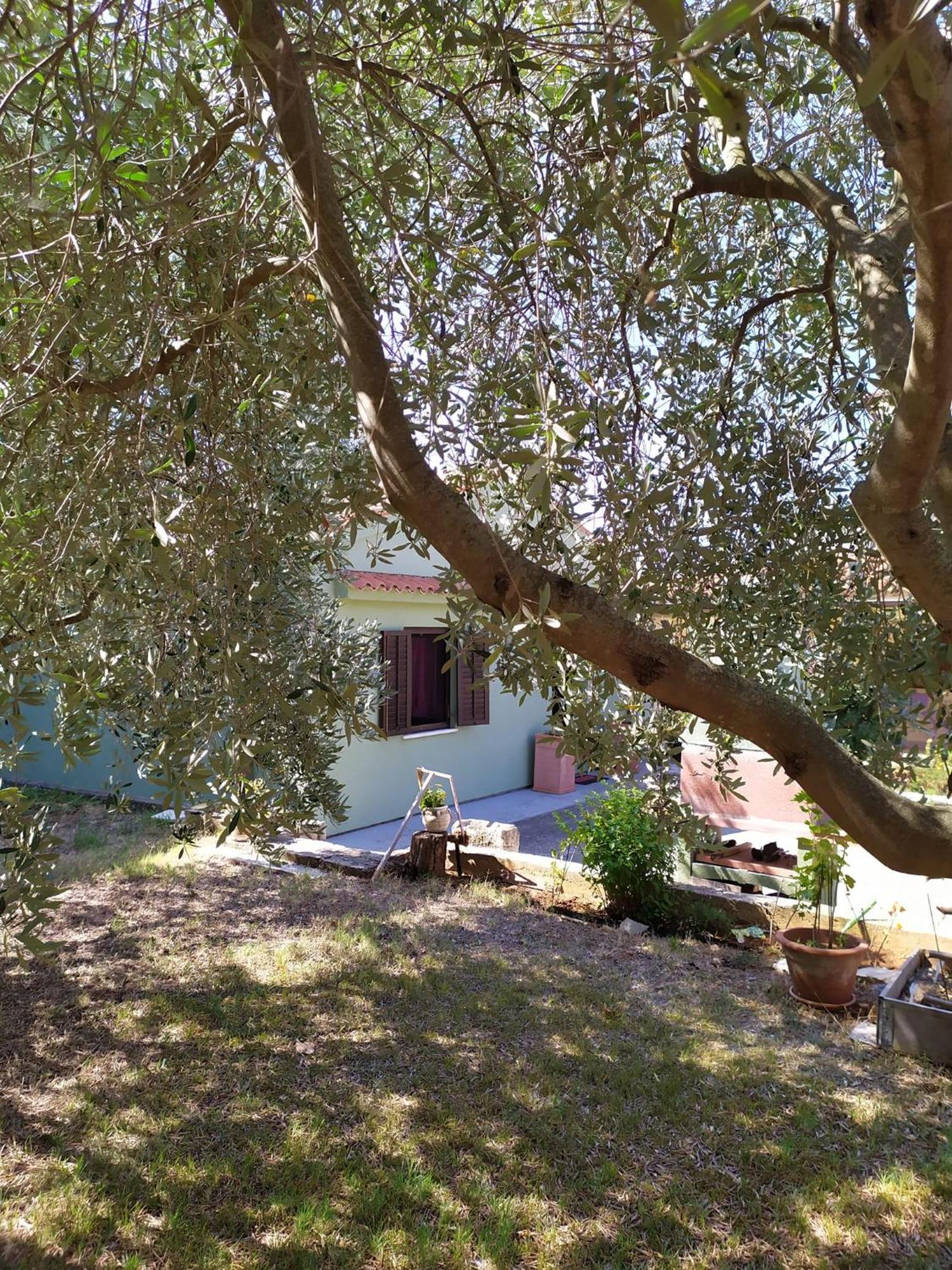 Apartmani Tara Medulin Exterior photo
